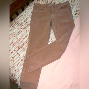 AE Blush Jeggings
